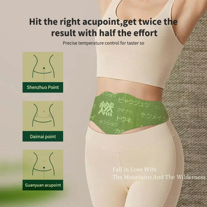 Hanpo Japanese Herbal patch Pad Balance Patch,Health Patch,Waist and abdomen brush